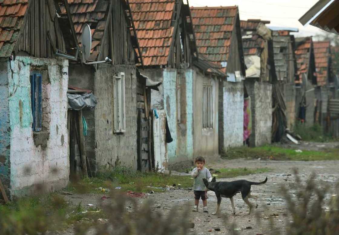 More than half of nearly 8,500 Roma in ten European countries said they lived in housing that was damp and dark or lacked proper sanitary facilities More than half of nearly 8,500 Roma in ten European countries said they lived in housing that was damp and dark or lacked proper sanitary facilities