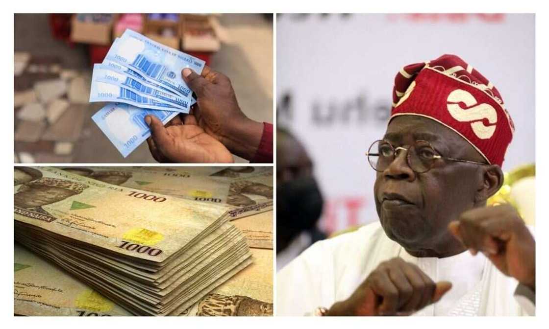 Tinubu, new naira notes, CBN