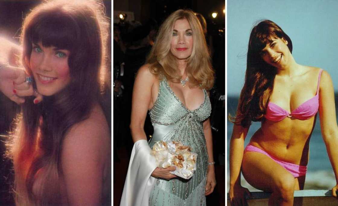 Barbi Benton then and now: see recent photos of the model Barbi Benton then and now: see recent photos of the model
