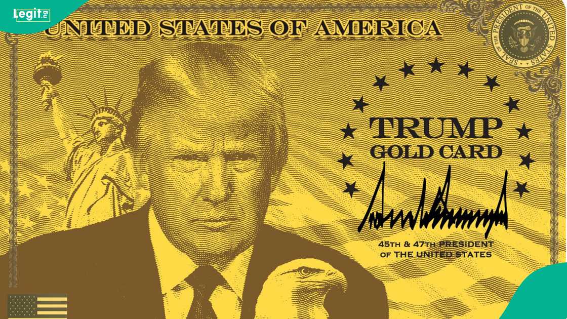 The initiative promises legal residency and a pathway to US citizenship The initiative promises legal residency and a pathway to US citizenship