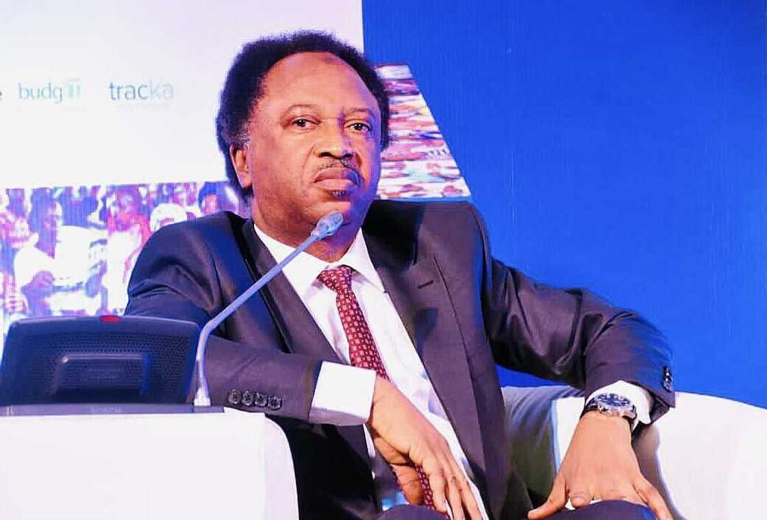 Shehu Sani ya caccaki batun tattaunawa da 'yan bindiga Shehu Sani ya caccaki batun tattaunawa da 'yan bindiga