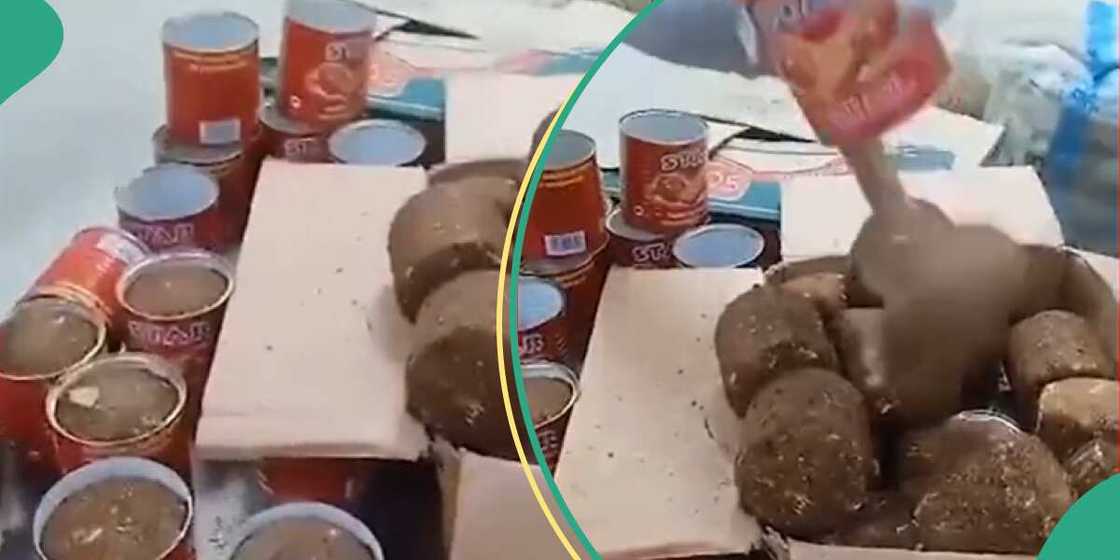 NDLEA intercepts skunk consignment concealed in tomato pastes