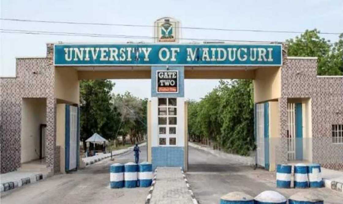 Unimaid