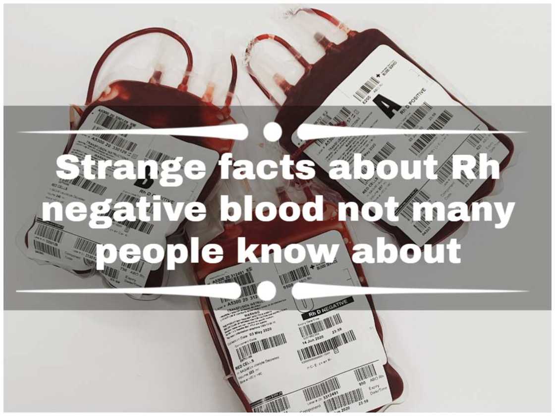 strange facts about rh negative blood strange facts about rh negative blood