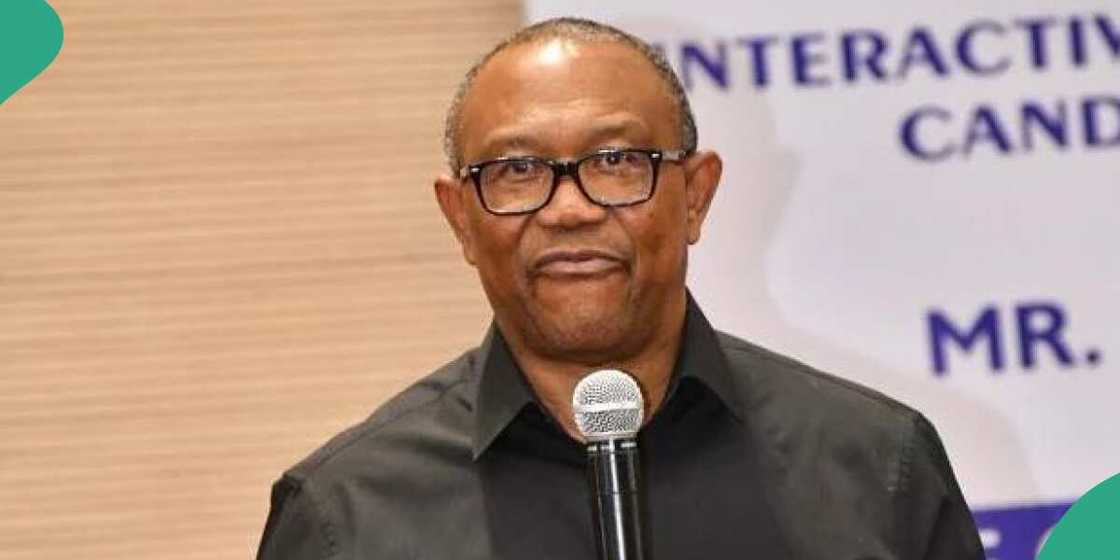 Peter Obi, GSK, P&G Peter Obi, GSK, P&G