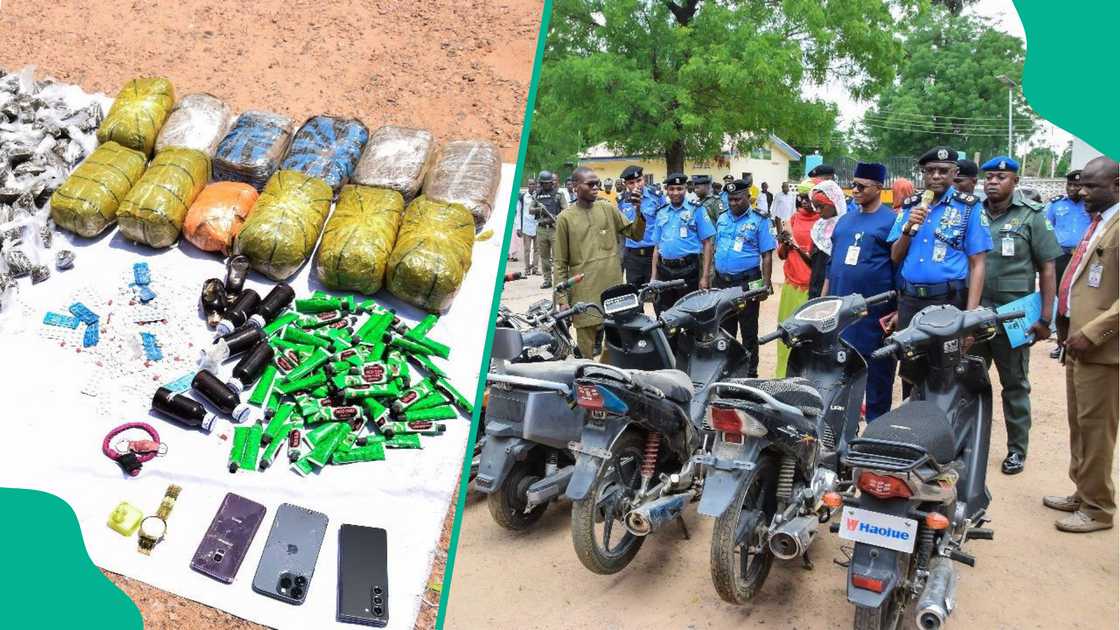 'Yan sandan Kano sun fara cafke masu aikata miyagun laifuffuka ta shrin Operation Kukan Kura 'Yan sandan Kano sun fara cafke masu aikata miyagun laifuffuka ta shrin Operation Kukan Kura
