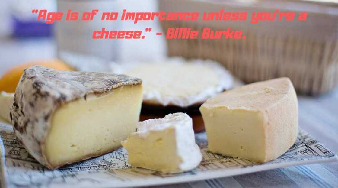 Funny sayings about life Funny sayings about life