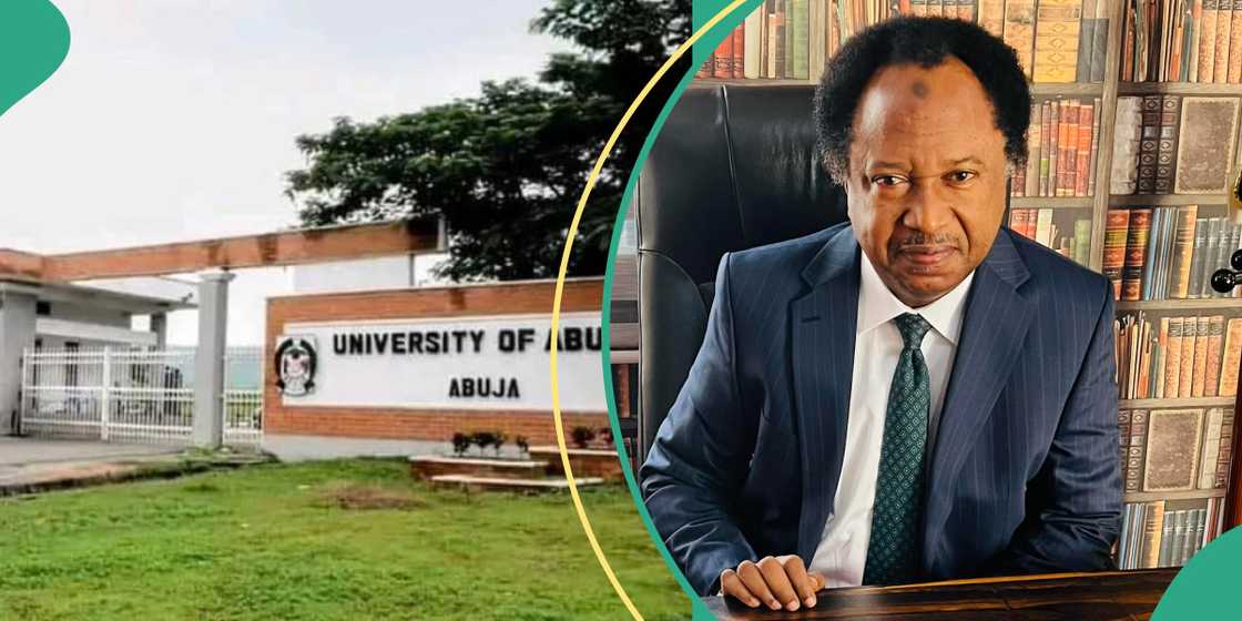 Shehu Sani Tells Tinubu’s Govt What To Do Next After Renaming University of Abuja Shehu Sani Tells Tinubu’s Govt What To Do Next After Renaming University of Abuja