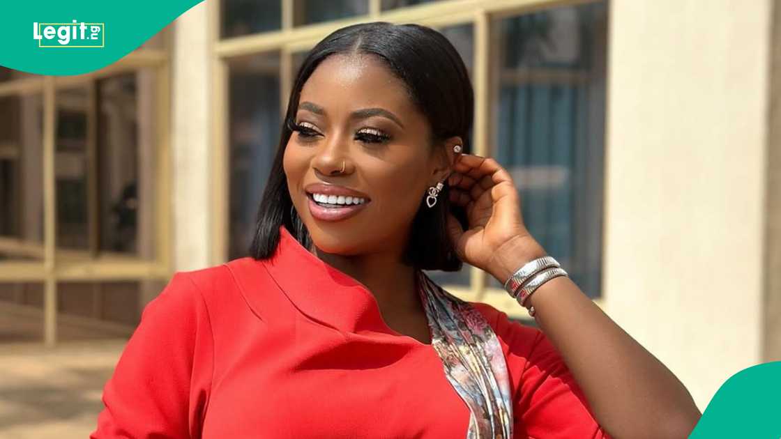 Sophia Momodu's fan begs Davido over lawsuit, fans react