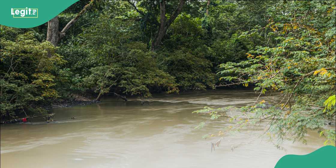 Osun river Osun river