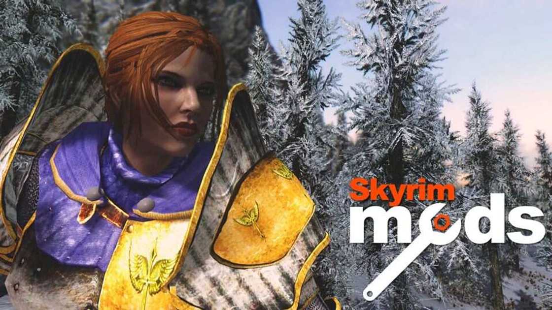skyrim mod skyrim mod