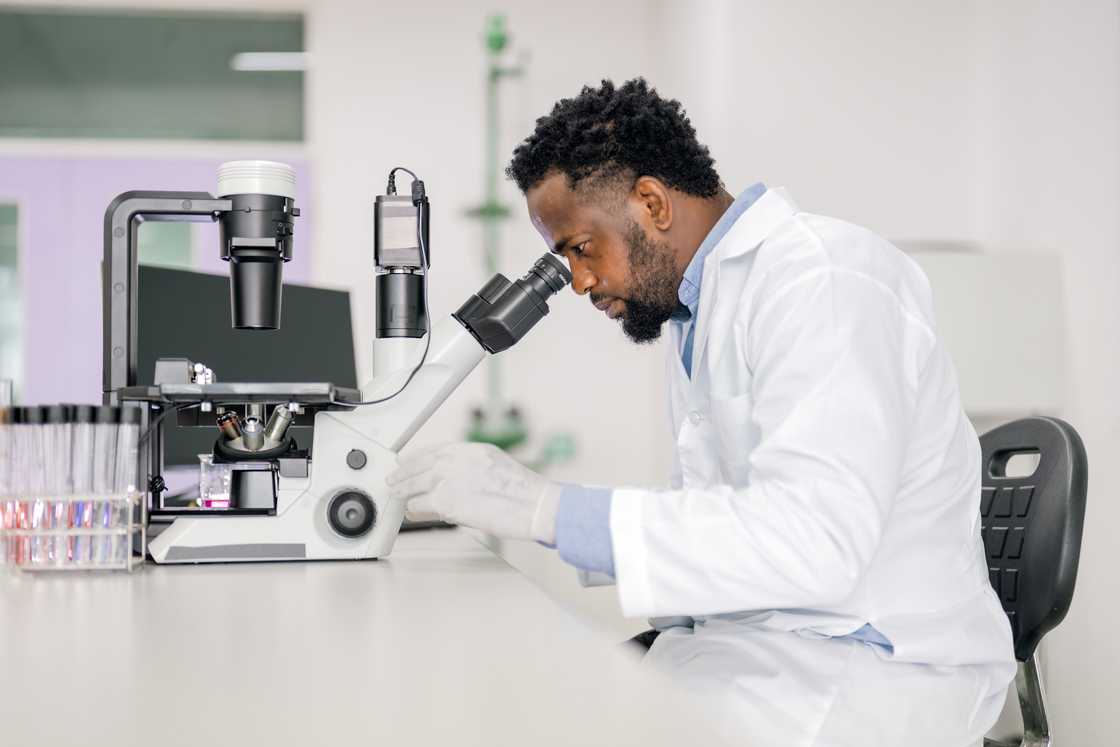 A scientist working in a laboratory using a computerised microscope.