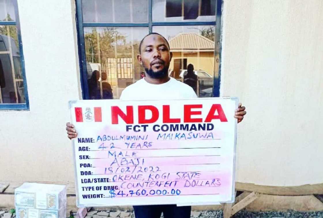 NDLEA ta cafke matashi da $4.7 na jabu a Abuja, ta yi ram da maijego dauke da kwayoyi NDLEA ta cafke matashi da $4.7 na jabu a Abuja, ta yi ram da maijego dauke da kwayoyi