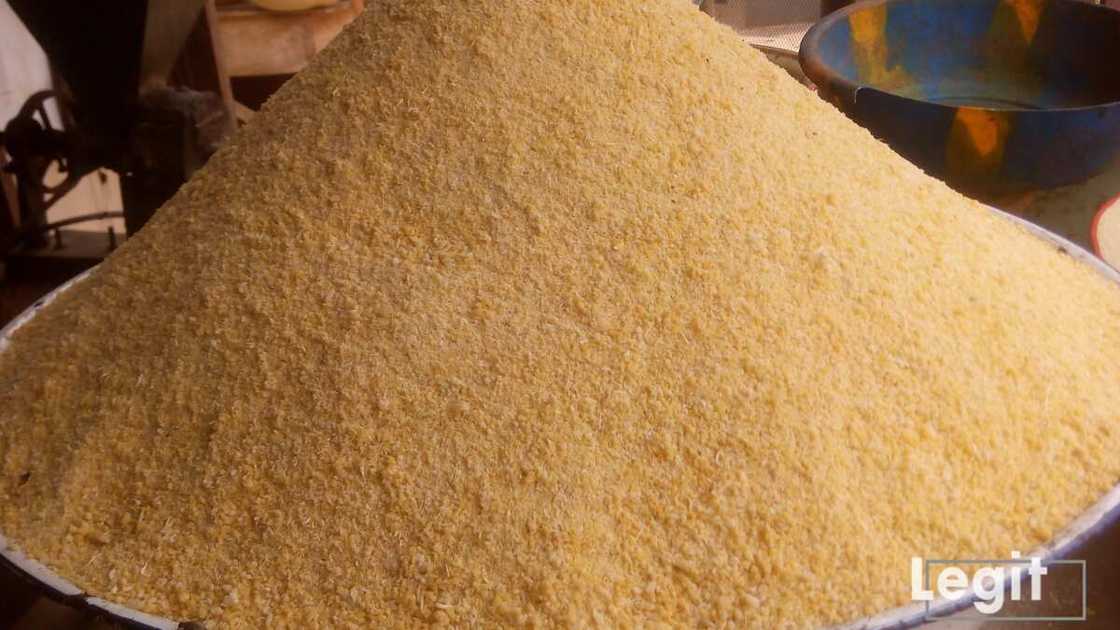 The cost price of yellow garri is higher than white garri, traders revealed. Photo credit: Esther Odili The cost price of yellow garri is higher than white garri, traders revealed. Photo credit: Esther Odili