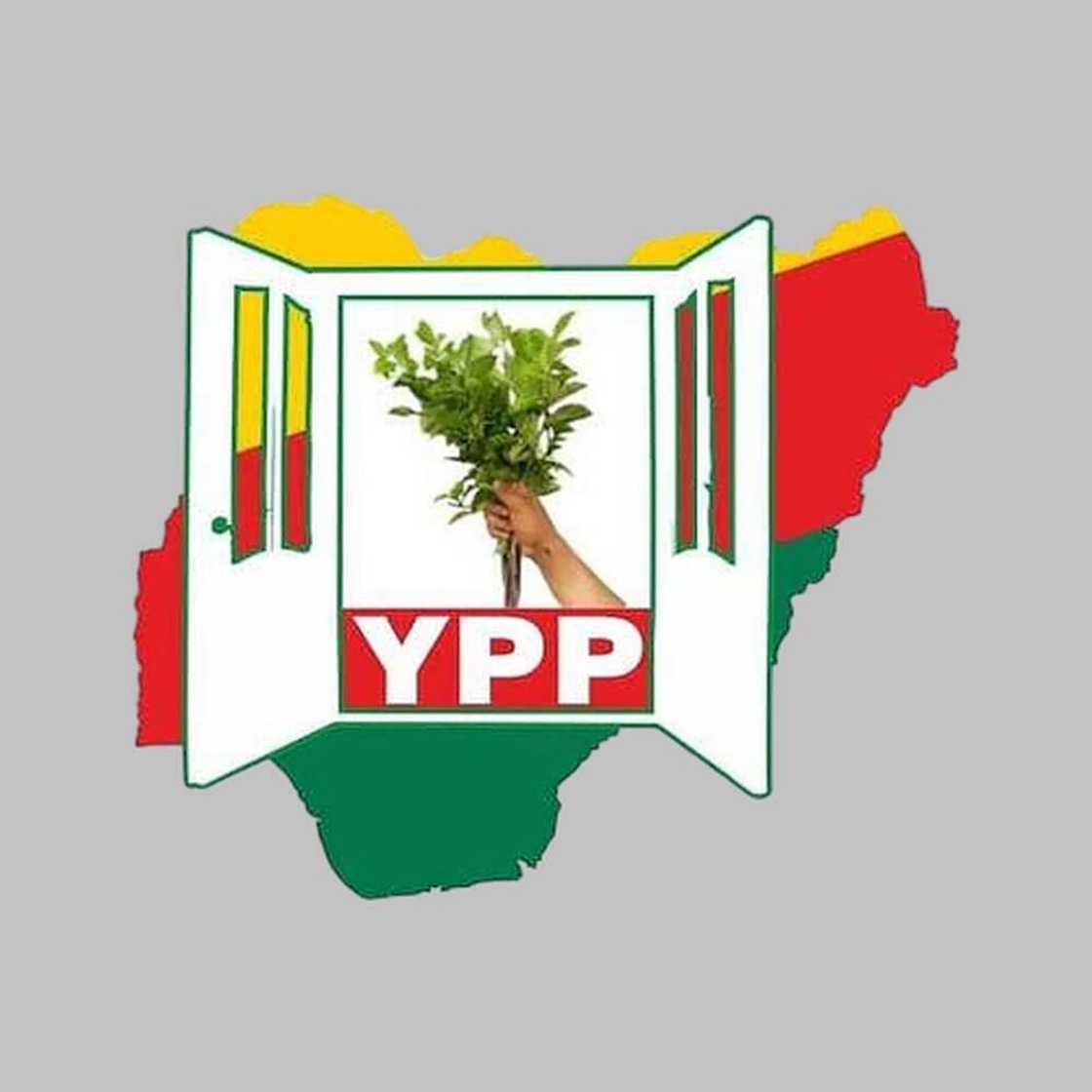 YPP's logo YPP's logo