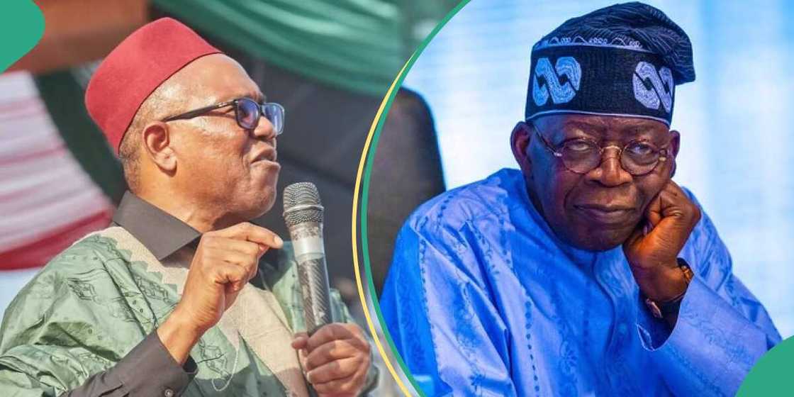 Peter Obi news/Tinubu news Peter Obi news/Tinubu news