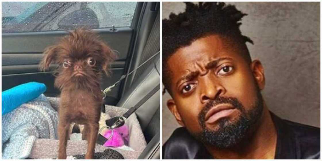 Basketmouth and puppy Basketmouth and puppy