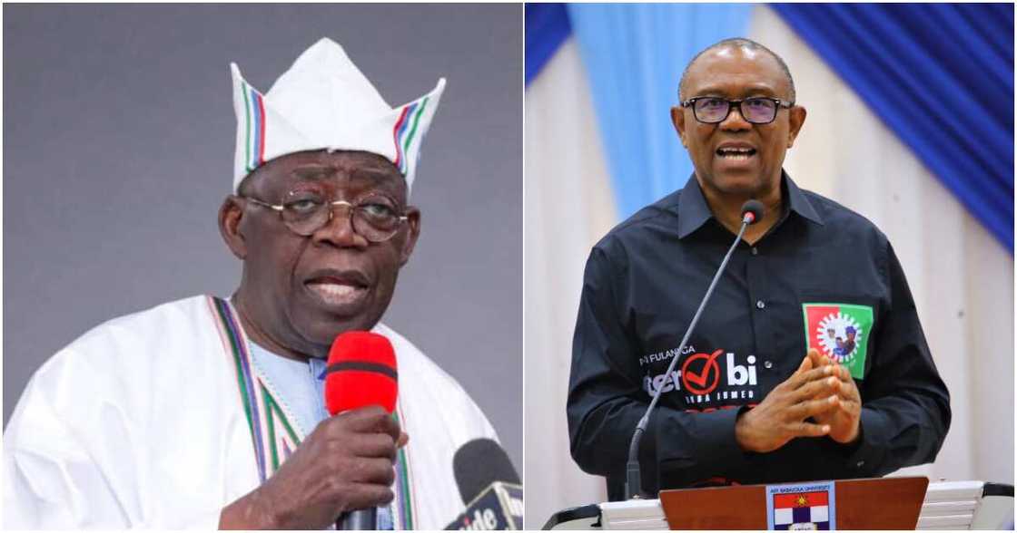 Peter Obi/Bola Tinubu/APC/Labour Party/Kashim Shettima