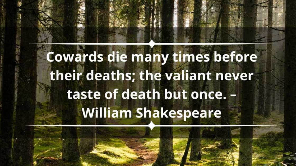 quotes about life and death