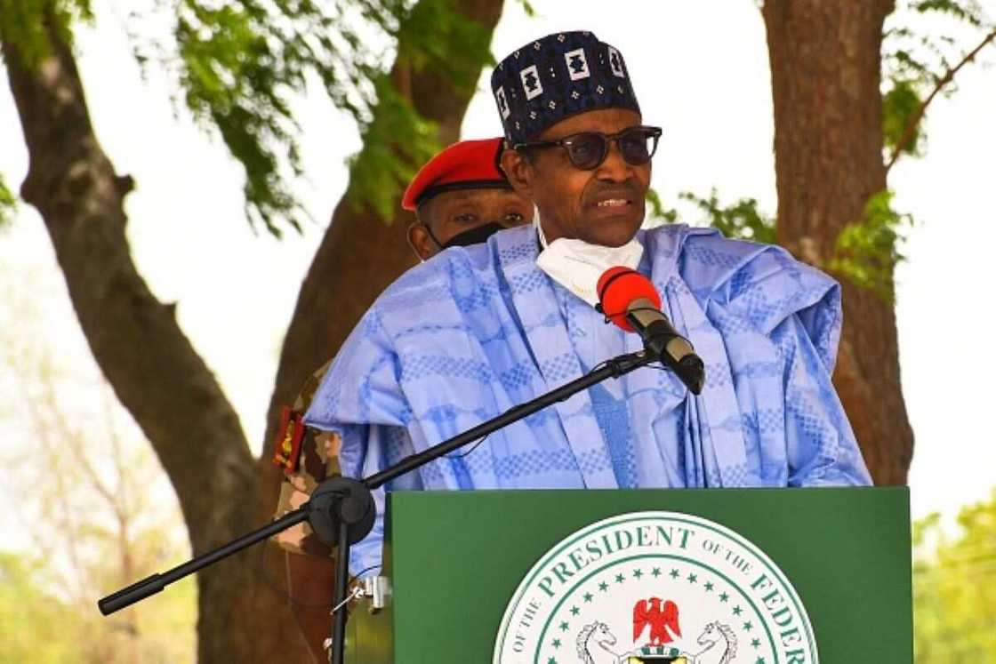 PMB in Borno PMB in Borno