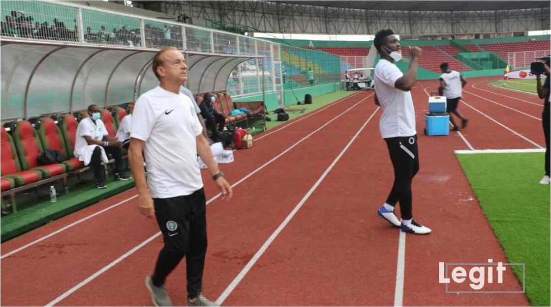 Gernot Rohr: Senator Shehu Sani likens Super Eagles coach to underperforming service chiefs