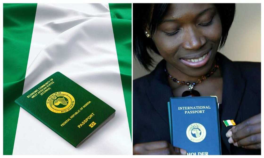 Immigration Service, Passports