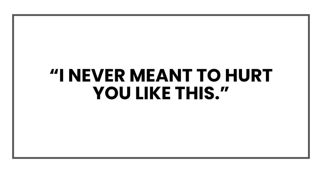 I never meant to hurt you like this