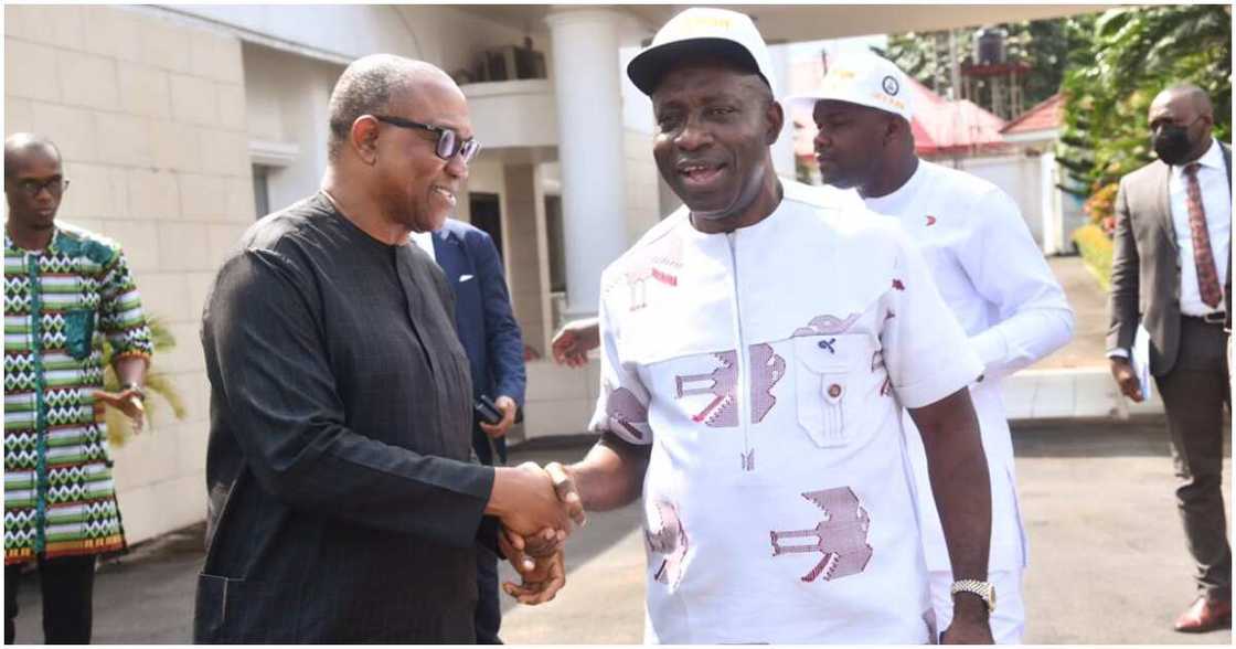 Labour Party, 2023 elections, Peter Obi, Anambra Government House, the Coalition of South East Youth Leaders, COSEYL, Igbo Youths Labour Party, 2023 elections, Peter Obi, Anambra Government House, the Coalition of South East Youth Leaders, COSEYL, Igbo Youths