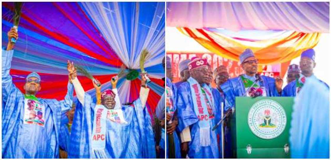 Buhari, Tinubu Buhari, Tinubu