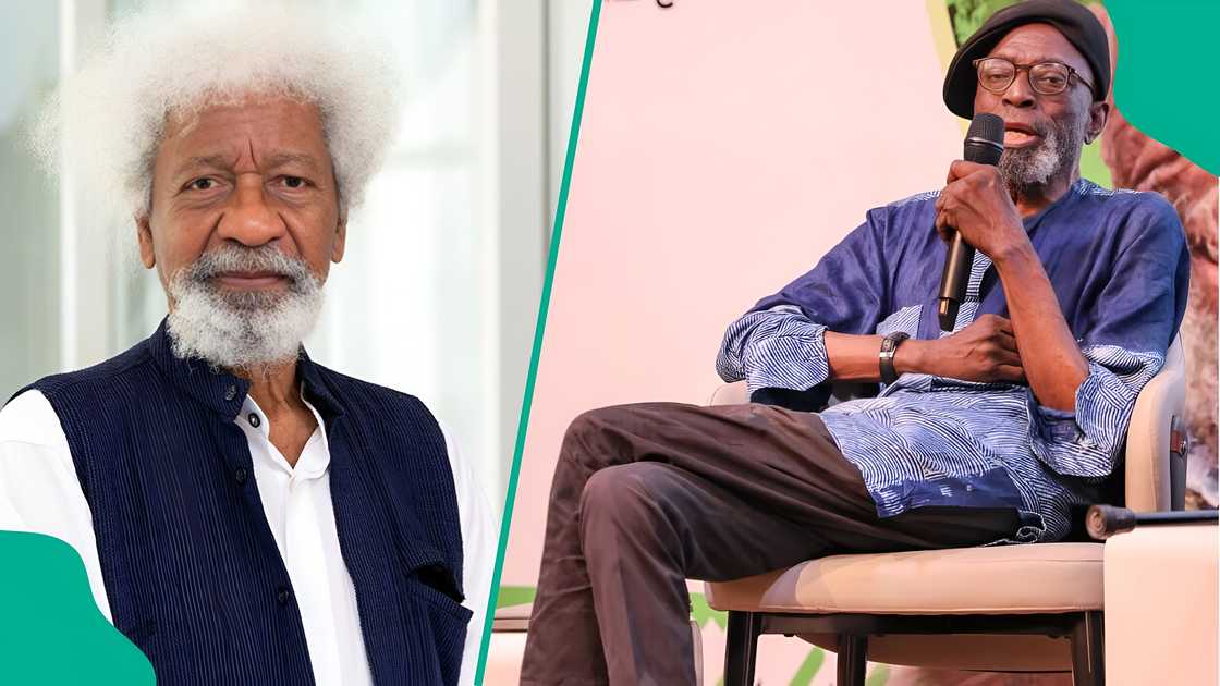 Wole Soyinka celebrates the life and work of scholar Biodun Jeyifo.