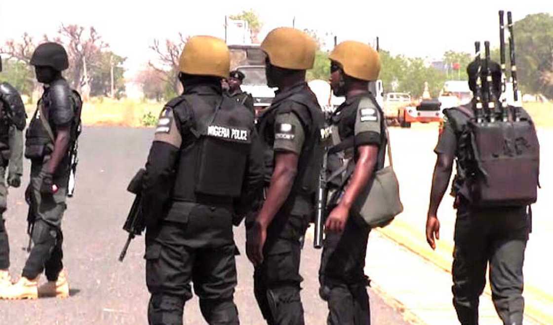 'Yan sanda sun cafke 'yan bindiga 4, sun kwato shanu 170 a Katsina 'Yan sanda sun cafke 'yan bindiga 4, sun kwato shanu 170 a Katsina