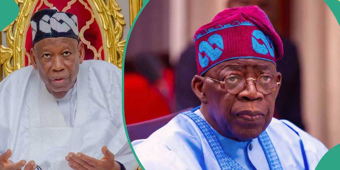 Ganduje, APC, Kwankwaso, NNPP, Kano state Ganduje, APC, Kwankwaso, NNPP, Kano state