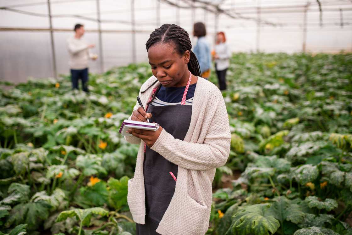A female engineer recording data.