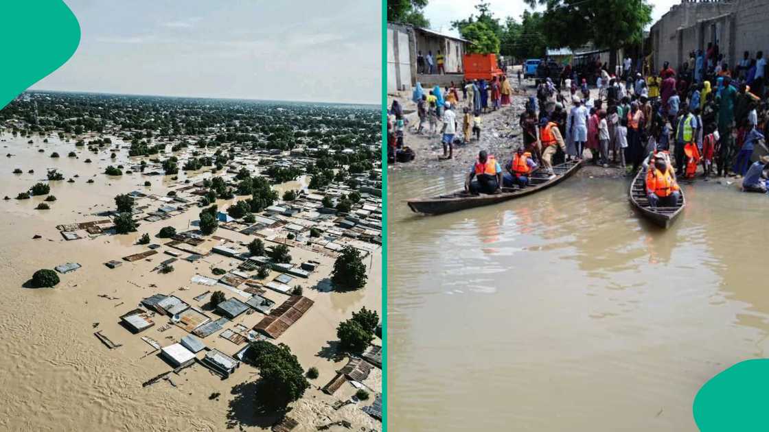 Ambaliya a Borno.