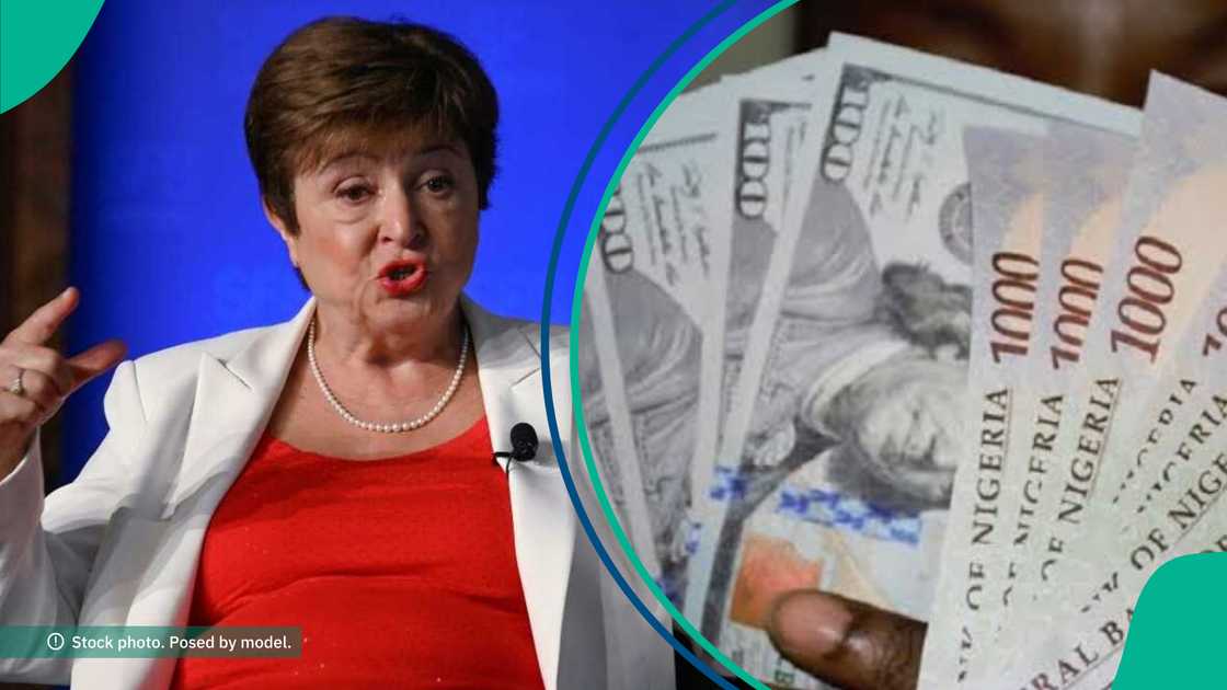 IMF predicts naira stability IMF predicts naira stability