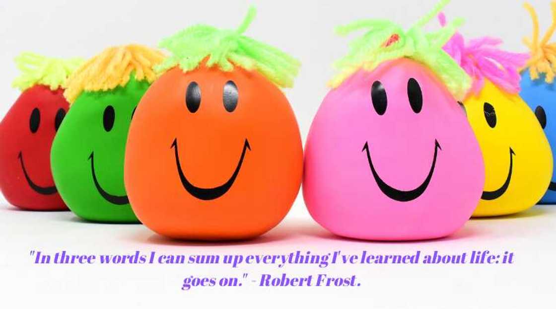 Funny quotes about life Funny quotes about life