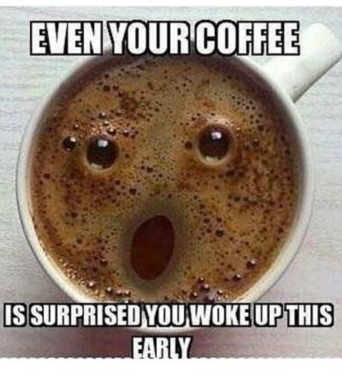 Funny good morning memes Funny good morning memes