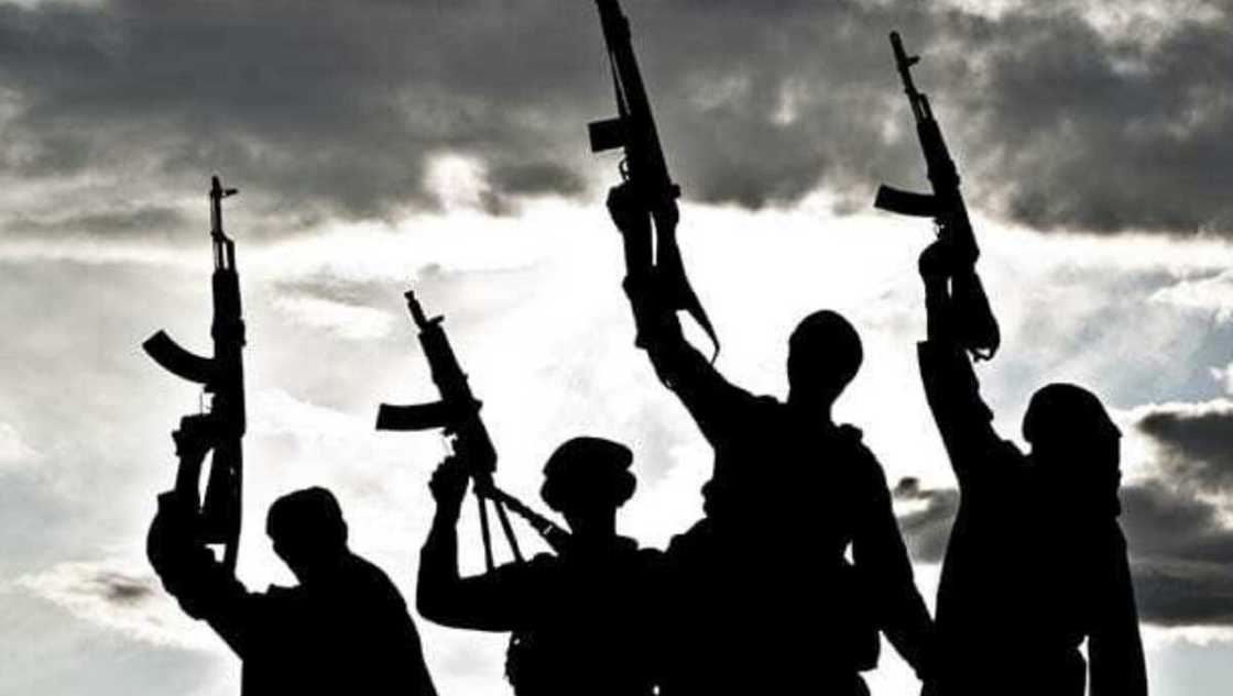 Sani Shinkafi ya bayyana masu ɗaukar nauyin ta'addanci a Zamfara Sani Shinkafi ya bayyana masu ɗaukar nauyin ta'addanci a Zamfara