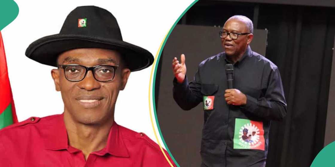 LP national chairman planning to suspend Peter Obi LP national chairman planning to suspend Peter Obi