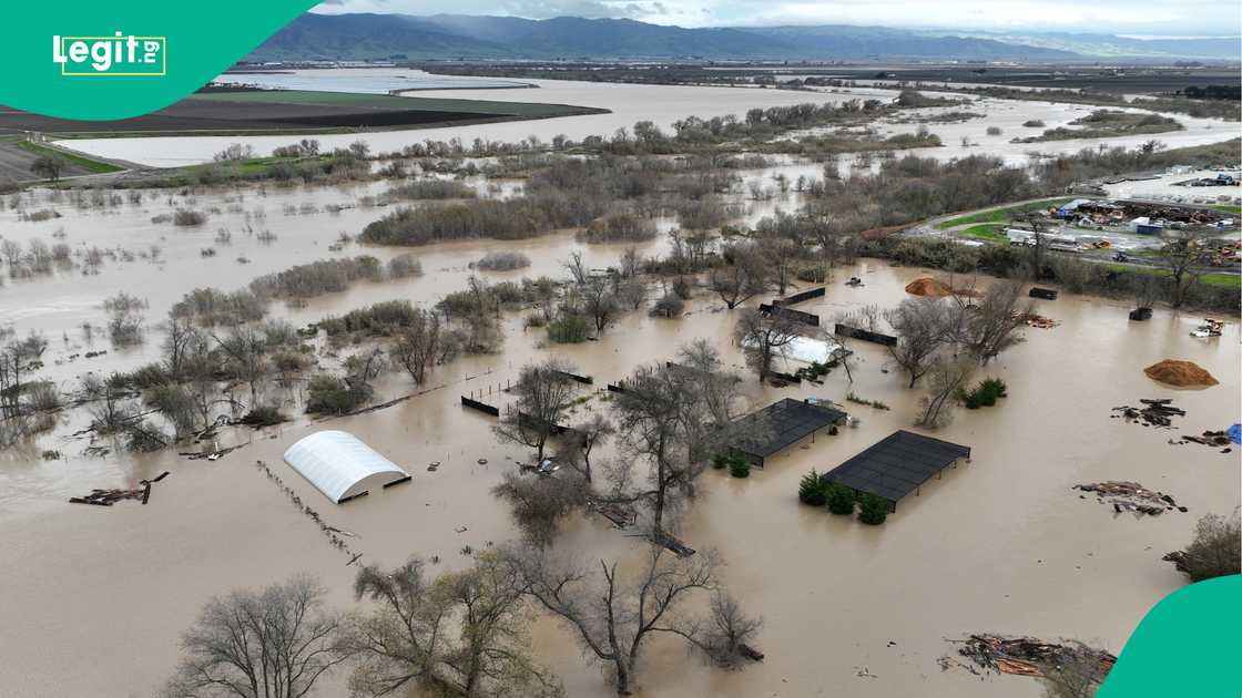 Ambaliyar ruwa ta barke a Borno bayan ballewar madatsar ruwa ta Alau