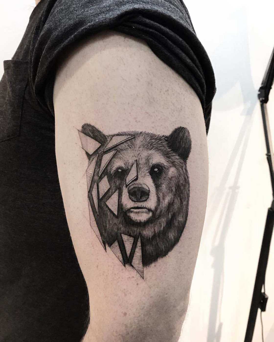 bear tattoo designs bear tattoo designs