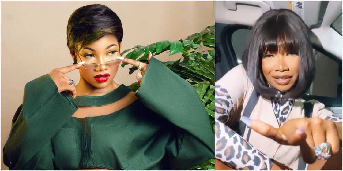 BBNaija Tacha BBNaija Tacha
