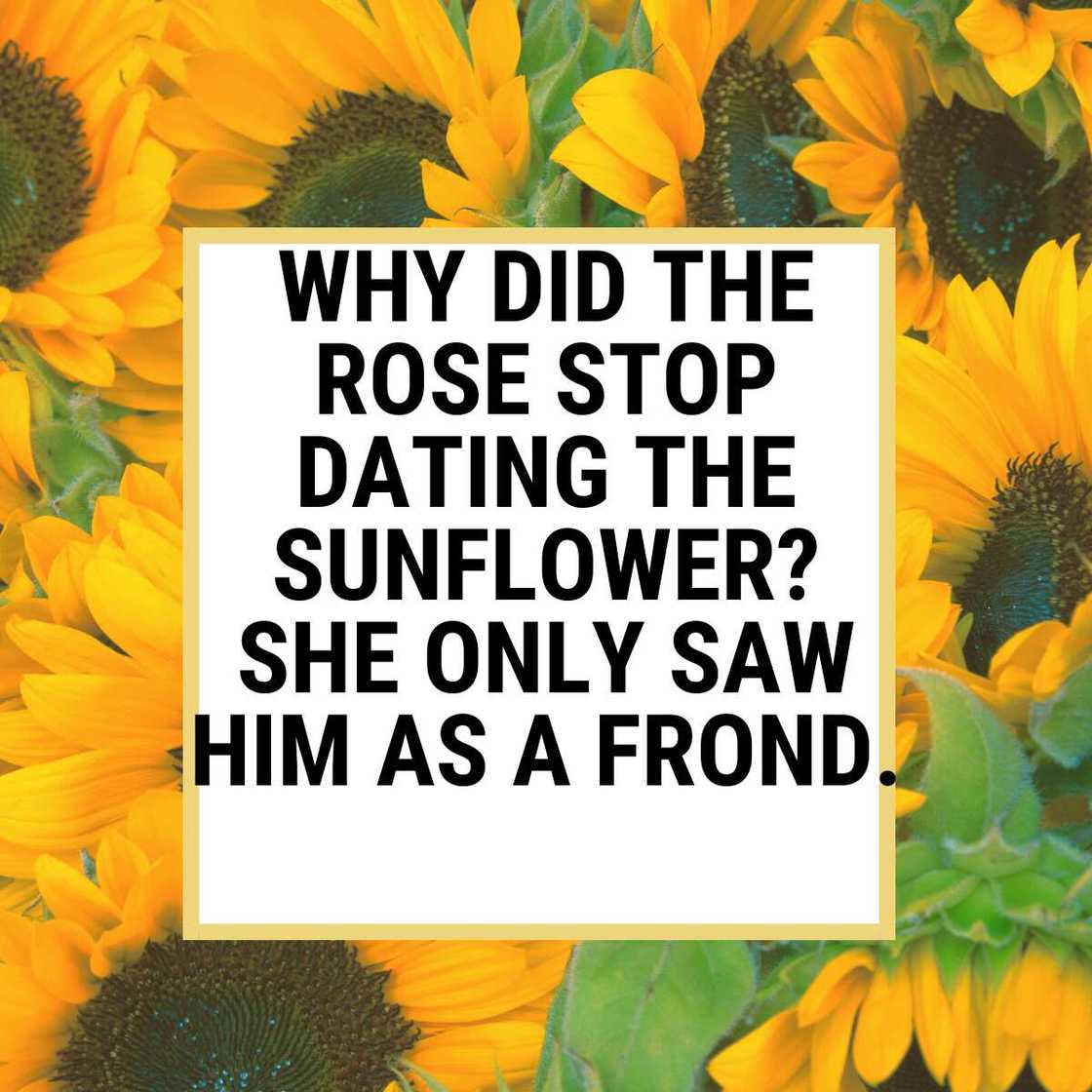 sunflower puns