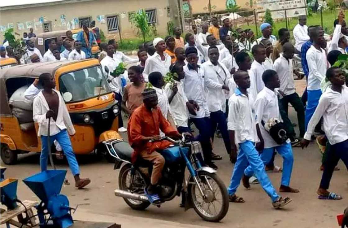 Dalibai na tattaki Dalibai na tattaki