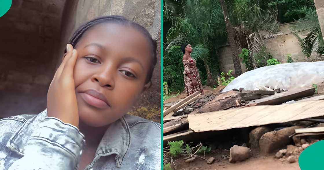A lady shows what her mother does every morning at her brother’s graveside A lady shows what her mother does every morning at her brother’s graveside