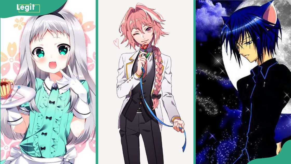 Hideri Kanzaki (L), Astolfo (C), Ikuto Tsukiyomi (R)