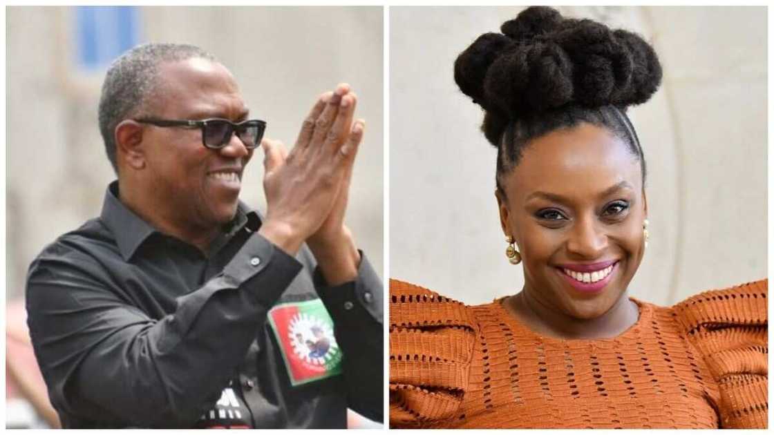 Peter Obi, Chimamanda Adichie, 2023 presidential election, Labour Party Peter Obi, Chimamanda Adichie, 2023 presidential election, Labour Party
