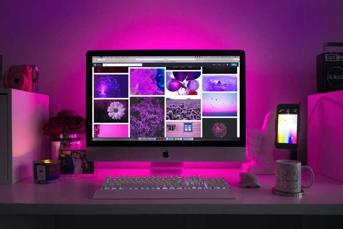 Types of computer files and their uses Types of computer files and their uses