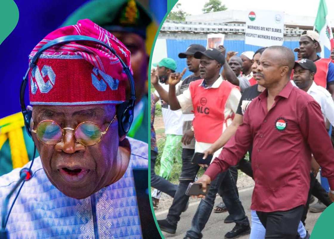 Nigerian university professor speaks on political side of new minimum wage tussle Nigerian university professor speaks on political side of new minimum wage tussle