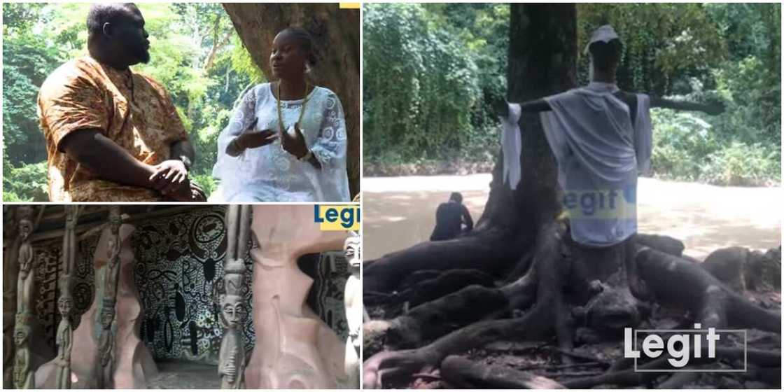 Nigerian female traditionalist reveals why people have spiritual husbands, wives and kids in stunning video Nigerian female traditionalist reveals why people have spiritual husbands, wives and kids in stunning video